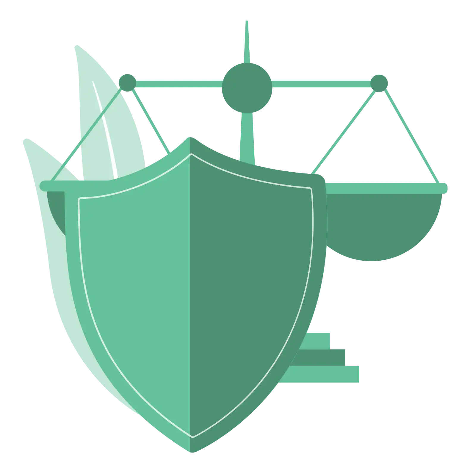 privacy with legitmacy